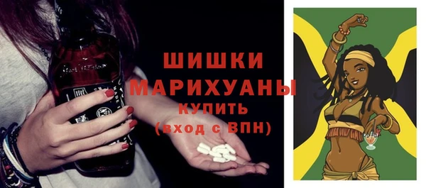 spice Кодинск