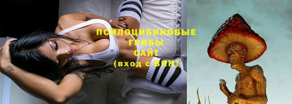 не бодяженный Козельск