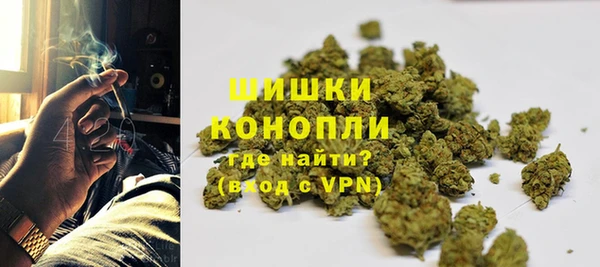 дживик Козловка