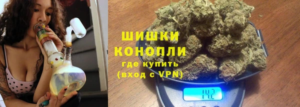дживик Козловка