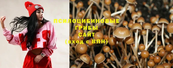 дживик Козловка